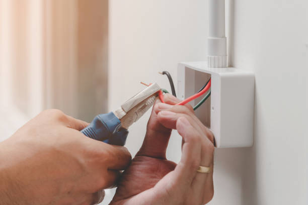 Best Electrical Panel Upgrades  in Socorro, TX